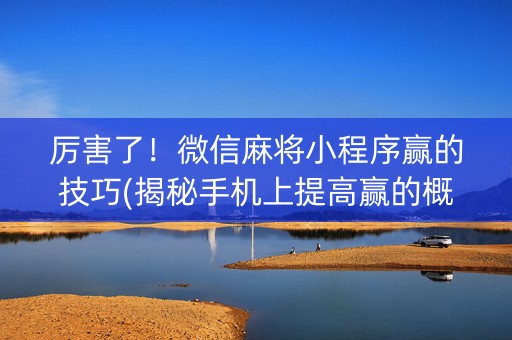 厉害了！微信麻将小程序赢的技巧(揭秘手机上提高赢的概率)