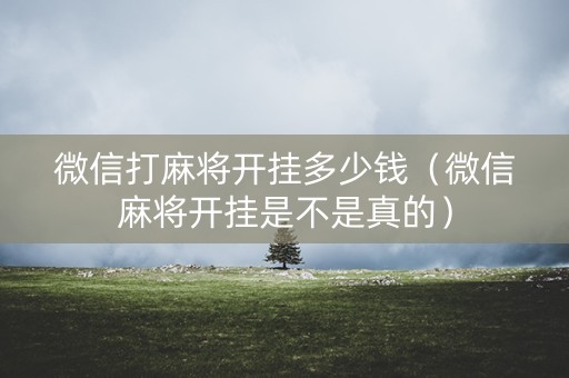 微信打麻将开挂多少钱（微信麻将开挂是不是真的）