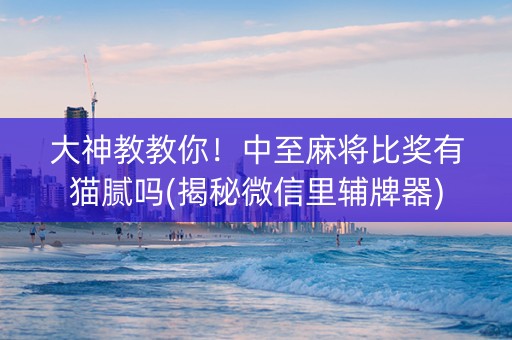 大神教教你！中至麻将比奖有猫腻吗(揭秘微信里辅牌器)