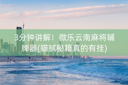 3分钟讲解！微乐云南麻将辅牌器(猫腻秘籍真的有挂)