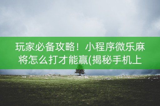 玩家必备攻略！小程序微乐麻将怎么打才能赢(揭秘手机上输赢规律)