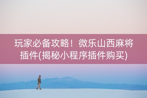 玩家必备攻略！微乐山西麻将插件(揭秘小程序插件购买)