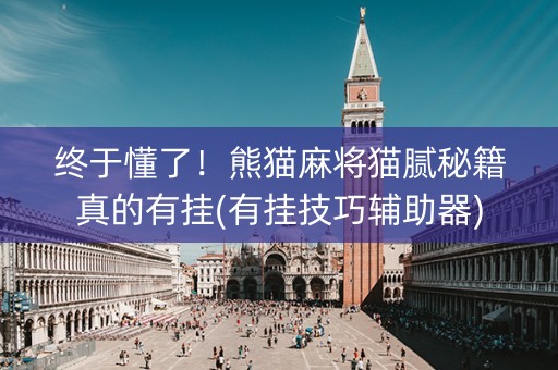 终于懂了！熊猫麻将猫腻秘籍真的有挂(有挂技巧辅助器)