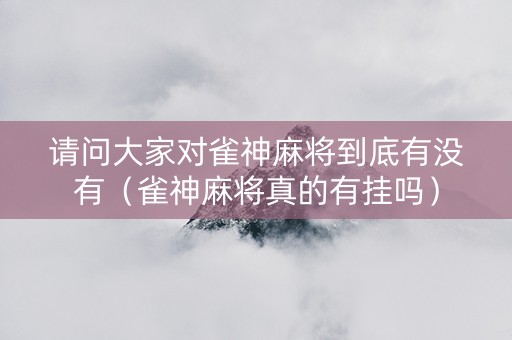 请问大家对雀神麻将到底有没有（雀神麻将真的有挂吗）