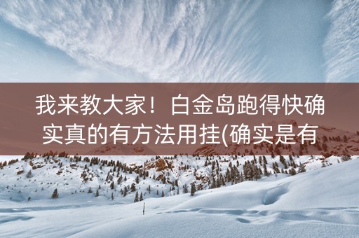 我来教大家！白金岛跑得快确实真的有方法用挂(确实是有挂的)