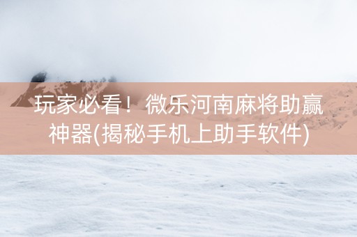 玩家必看！微乐河南麻将助赢神器(揭秘手机上助手软件)