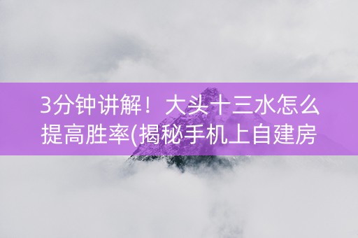 3分钟讲解！大头十三水怎么提高胜率(揭秘手机上自建房怎么赢)