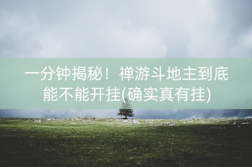 一分钟揭秘！禅游斗地主到底能不能开挂(确实真有挂)