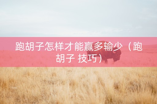 跑胡子怎样才能赢多输少（跑胡子 技巧）