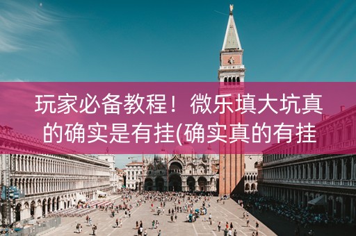 玩家必备教程！微乐填大坑真的确实是有挂(确实真的有挂)