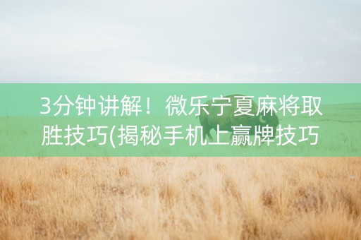 3分钟讲解！微乐宁夏麻将取胜技巧(揭秘手机上赢牌技巧)