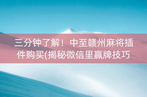 三分钟了解！中至赣州麻将插件购买(揭秘微信里赢牌技巧)