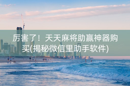 厉害了！天天麻将助赢神器购买(揭秘微信里助手软件)