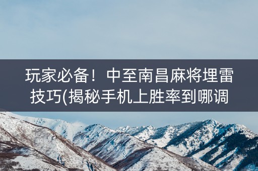 玩家必备！中至南昌麻将埋雷技巧(揭秘手机上胜率到哪调)