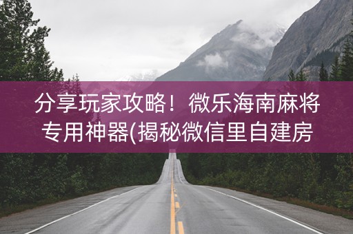 分享玩家攻略！微乐海南麻将专用神器(揭秘微信里自建房怎么赢)