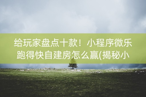 给玩家盘点十款！小程序微乐跑得快自建房怎么赢(揭秘小程序赢的诀窍)
