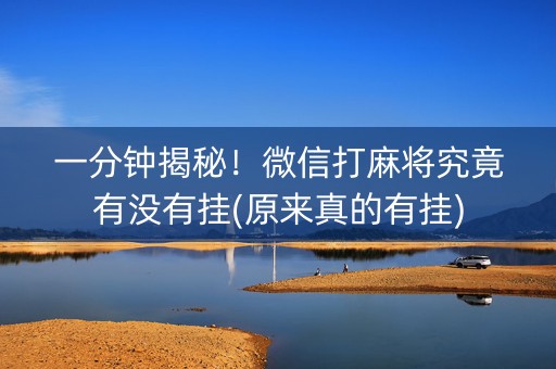 一分钟揭秘！微信打麻将究竟有没有挂(原来真的有挂)