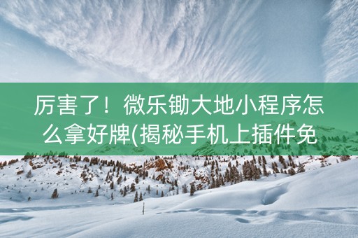 厉害了！微乐锄大地小程序怎么拿好牌(揭秘手机上插件免费)