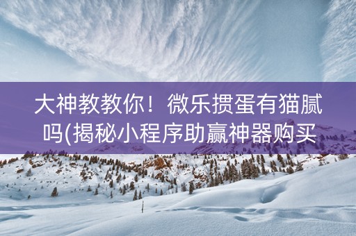 大神教教你！微乐掼蛋有猫腻吗(揭秘小程序助赢神器购买)