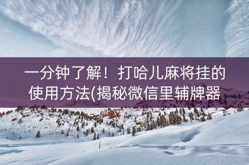 一分钟了解！打哈儿麻将挂的使用方法(揭秘微信里辅牌器)