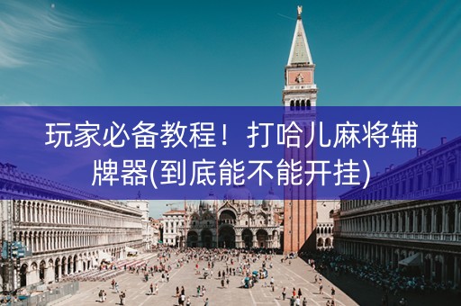 玩家必备教程！打哈儿麻将辅牌器(到底能不能开挂)