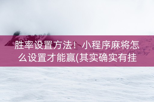 胜率设置方法！小程序麻将怎么设置才能赢(其实确实有挂)