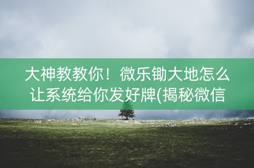 大神教教你！微乐锄大地怎么让系统给你发好牌(揭秘微信里专用神器)