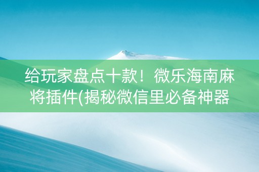 给玩家盘点十款！微乐海南麻将插件(揭秘微信里必备神器)