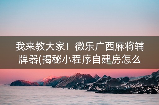 我来教大家！微乐广西麻将辅牌器(揭秘小程序自建房怎么赢)
