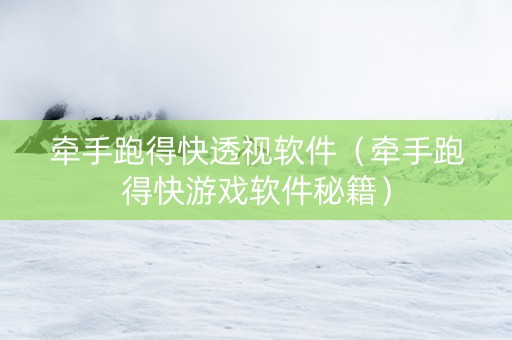牵手跑得快透视软件（牵手跑得快游戏软件秘籍）