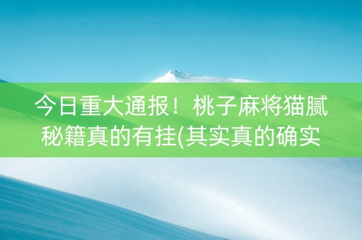 今日重大通报！桃子麻将猫腻秘籍真的有挂(其实真的确实有挂)