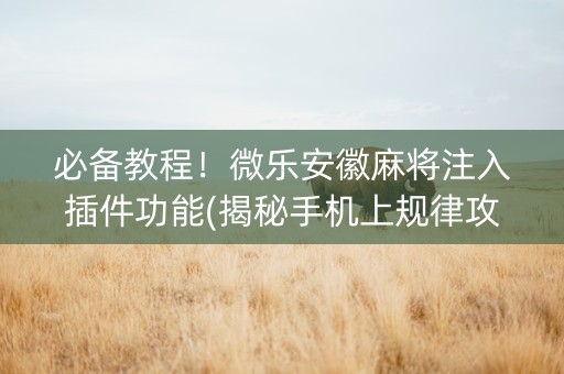 必备教程！微乐安徽麻将注入插件功能(揭秘手机上规律攻略)