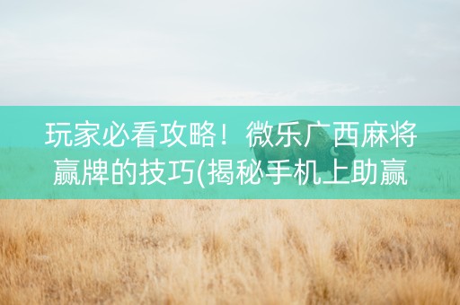 玩家必看攻略！微乐广西麻将赢牌的技巧(揭秘手机上助赢神器购买)