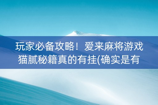 玩家必备攻略！爱来麻将游戏猫腻秘籍真的有挂(确实是有挂)