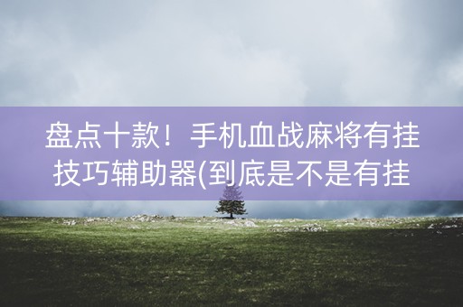 盘点十款！手机血战麻将有挂技巧辅助器(到底是不是有挂)