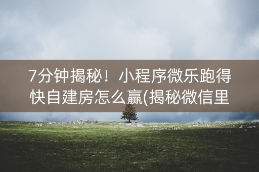 7分钟揭秘！小程序微乐跑得快自建房怎么赢(揭秘微信里输赢技巧)