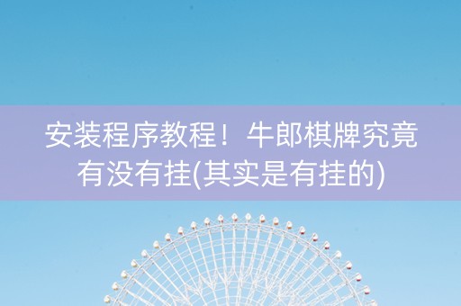 安装程序教程！牛郎棋牌究竟有没有挂(其实是有挂的)