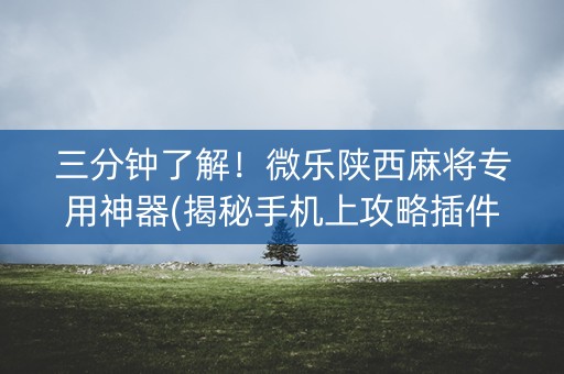 三分钟了解！微乐陕西麻将专用神器(揭秘手机上攻略插件)