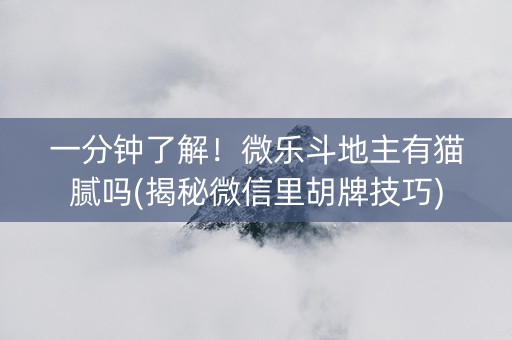 一分钟了解！微乐斗地主有猫腻吗(揭秘微信里胡牌技巧)