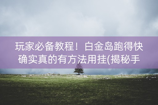 玩家必备教程！白金岛跑得快确实真的有方法用挂(揭秘手机上输赢规律)