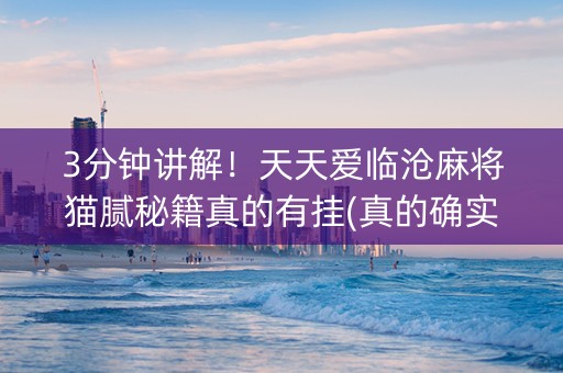 3分钟讲解！天天爱临沧麻将猫腻秘籍真的有挂(真的确实是有挂)