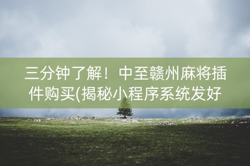 三分钟了解！中至赣州麻将插件购买(揭秘小程序系统发好牌)