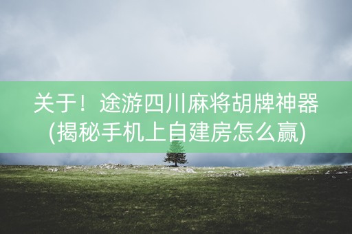 关于！途游四川麻将胡牌神器(揭秘手机上自建房怎么赢)