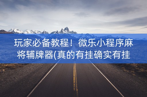 玩家必备教程！微乐小程序麻将辅牌器(真的有挂确实有挂)