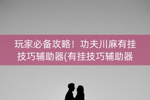 玩家必备攻略！功夫川麻有挂技巧辅助器(有挂技巧辅助器)
