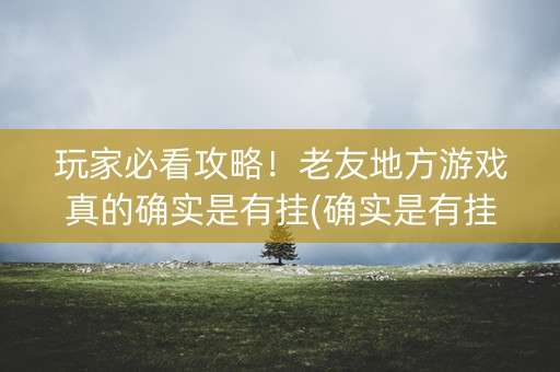 玩家必看攻略！老友地方游戏真的确实是有挂(确实是有挂)