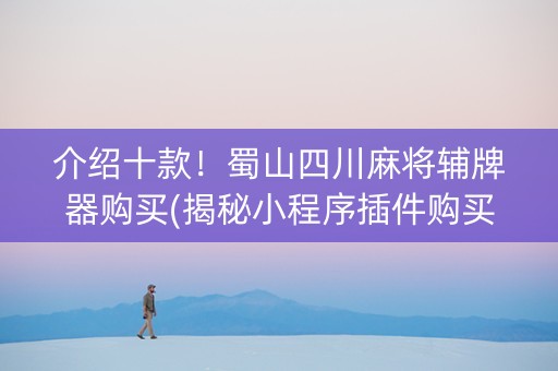 介绍十款！蜀山四川麻将辅牌器购买(揭秘小程序插件购买)