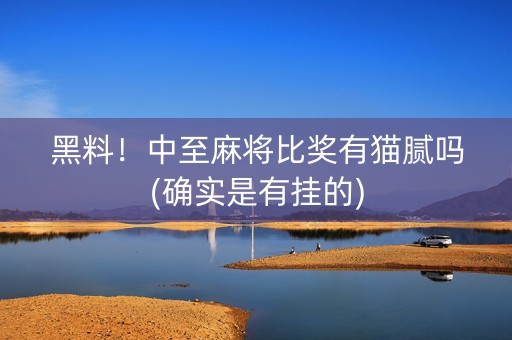 黑料！中至麻将比奖有猫腻吗(确实是有挂的)