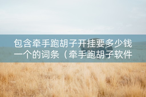 包含牵手跑胡子开挂要多少钱一个的词条（牵手跑胡子软件下载）