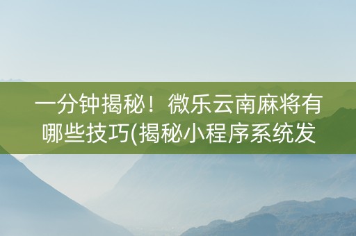 一分钟揭秘！微乐云南麻将有哪些技巧(揭秘小程序系统发好牌)